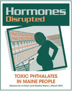 hormones-disrupted